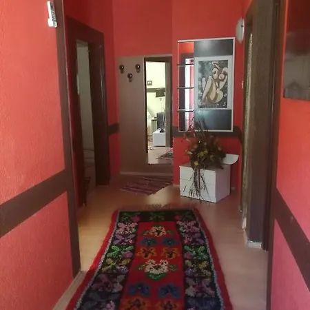 Odvojak *
