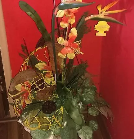 Odvojak Apartament *